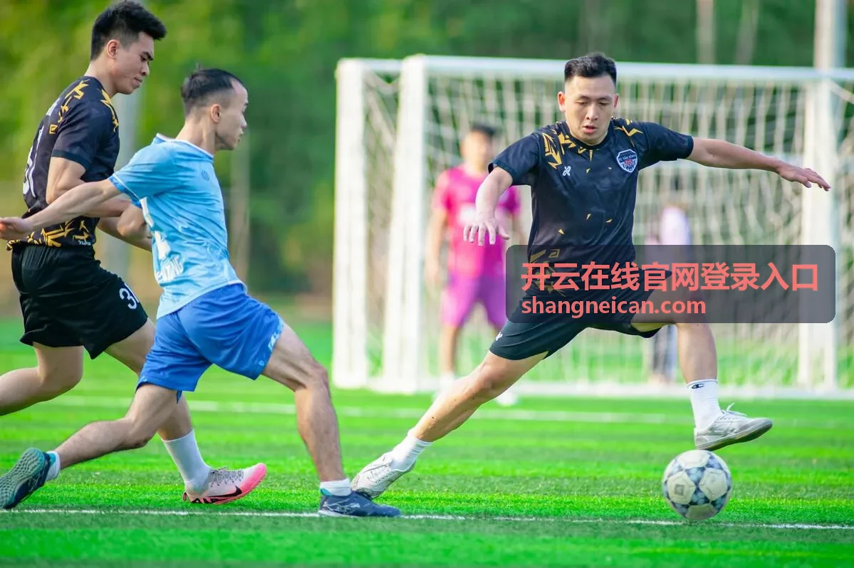 开云在线官网登录入口常见问题与帮助咨询页面示意